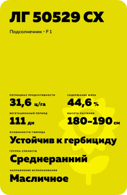 ЛГ 50529 СХ (LG 50529 SX) подсолнечник Лимагрейн