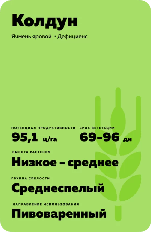 Колдун сорт ярового ячменя