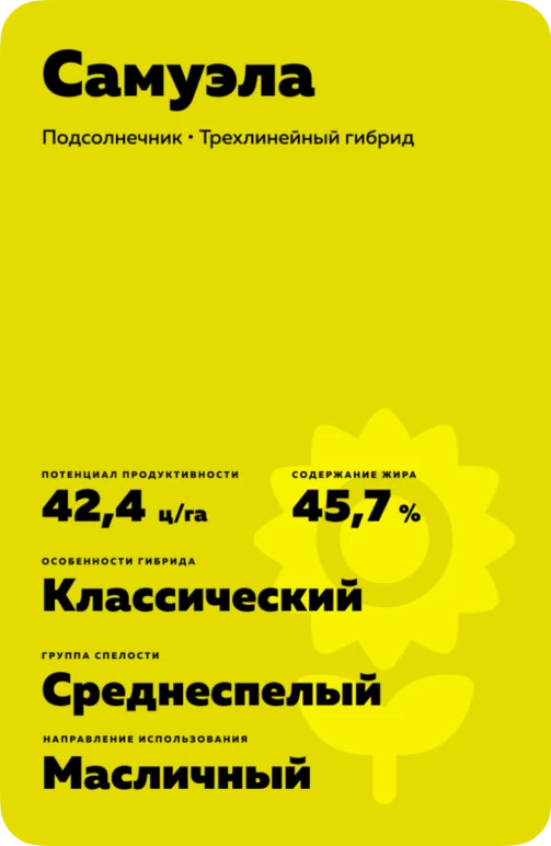 Самуэла