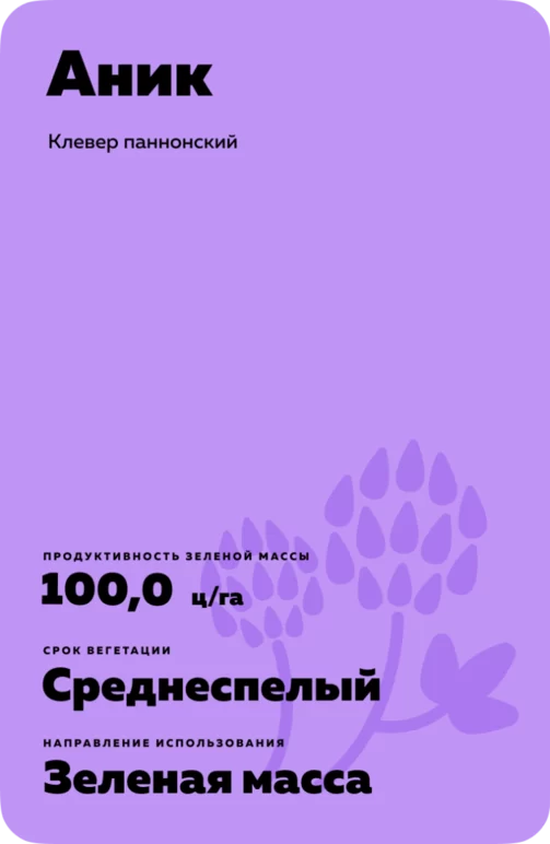 Аник