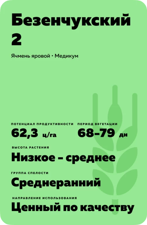 Безенчукский 2 сорт ячменя ярового