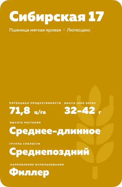 Сибирская 17