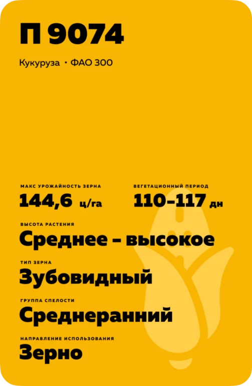 П 9074 - гибрид кукурузы Пионер