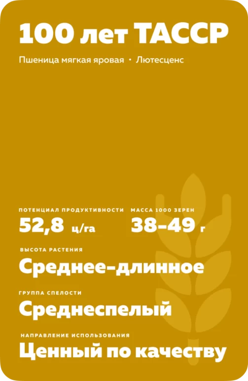 100 лет ТАССР пшеница
