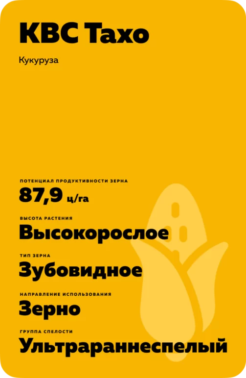КВС Тахо гибрид кукурузы