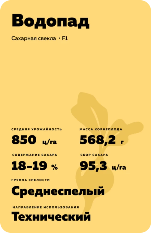 Водопад гибрид сахарной свеклы