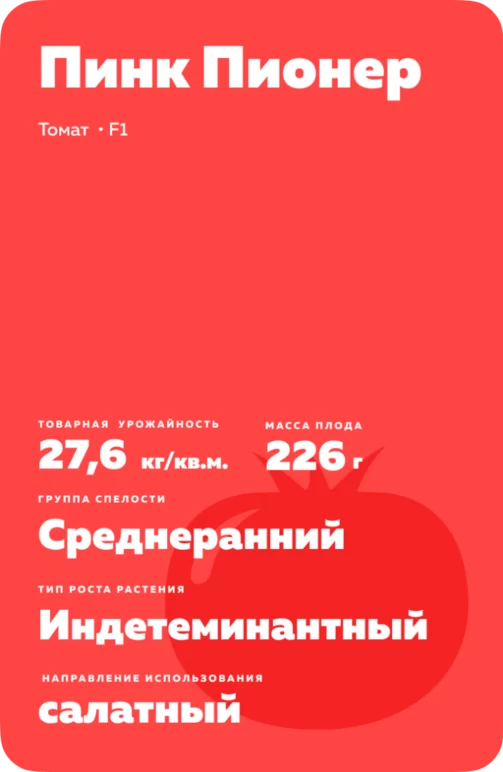 Пинк Пионер F1 (PINK PIONEER)