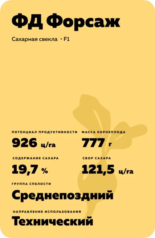 ФД Форсаж (FD FORSAGE)