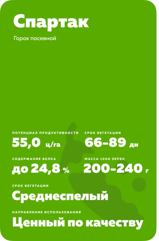 Спартак