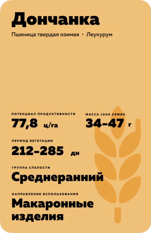 Дончанка