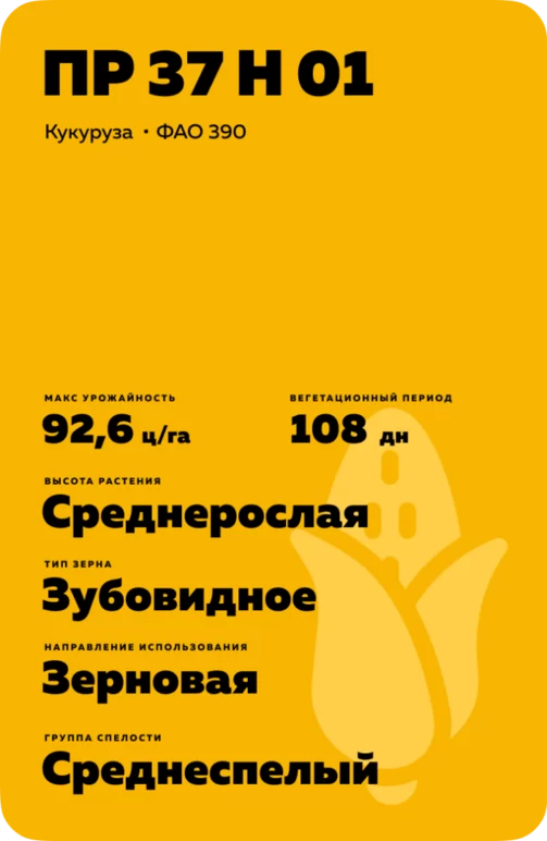 ПР 37 Н 01 - гибрид кукурузы Пионер