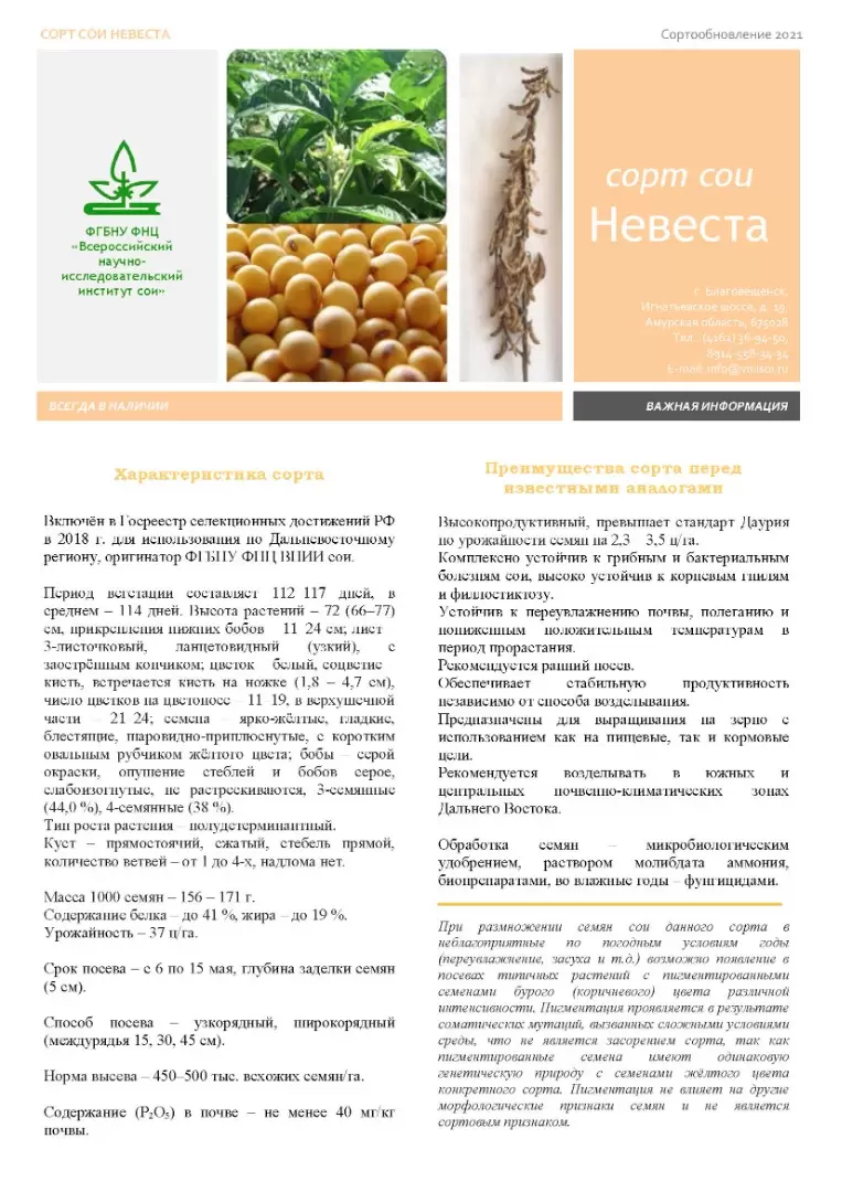 Сорт сои лебедь характеристика. Описание сортов сои. Сои сорт «максус». Сорта сои в благовещенске. Известные сорта сои.