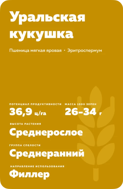 Уральская кукушка