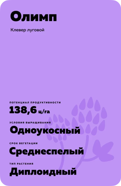 Олимп