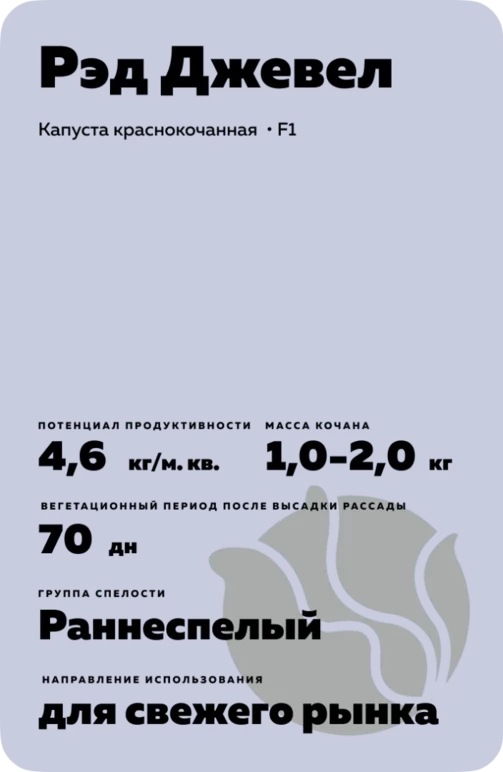 Рэд Джевел (RED JEWEL) гибрид краснокочанной капусты