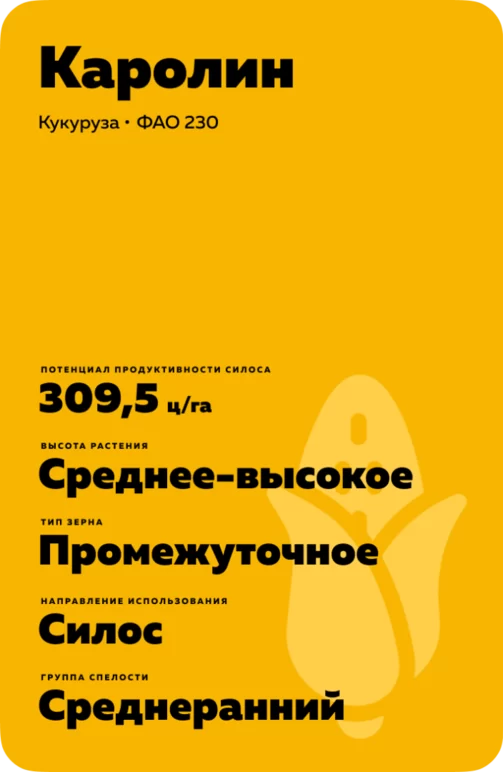 Каролин гибрид кукурузы Лимагрейн