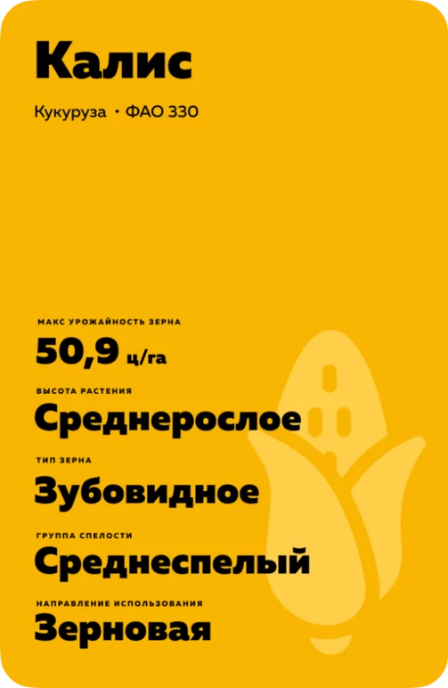 Калис (KALIS)