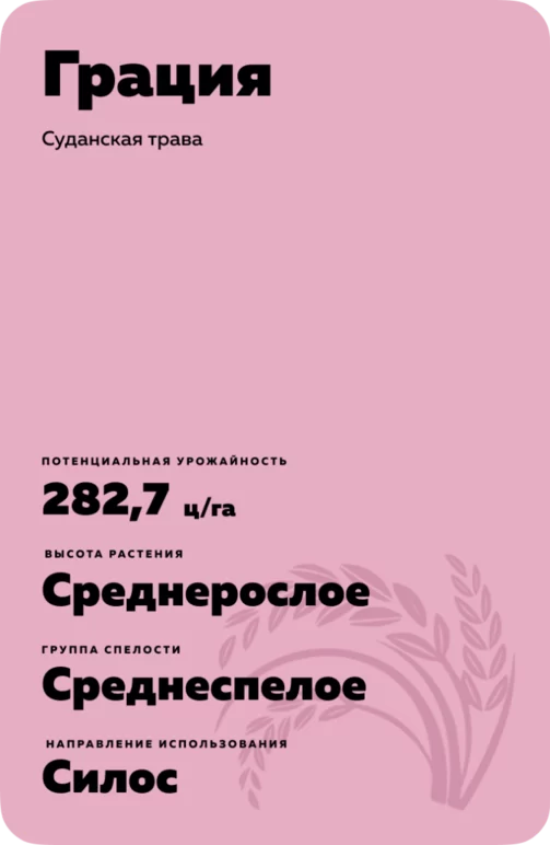 Грация
