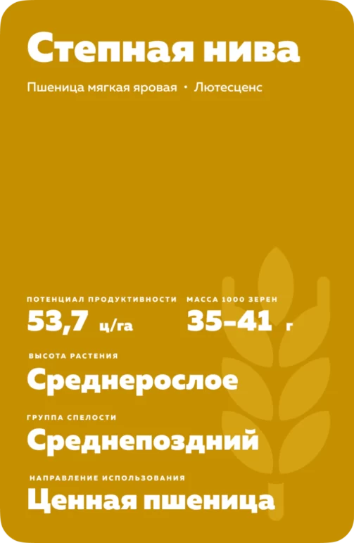 Степная нива