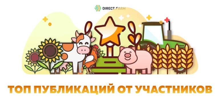 ТОП статей от участников Direct.Farm