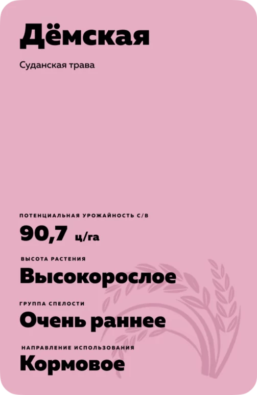 Дёмская