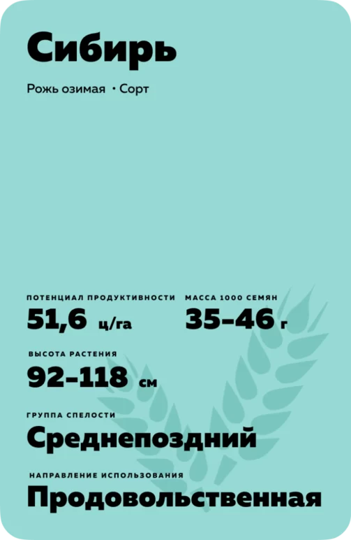 Сибирь