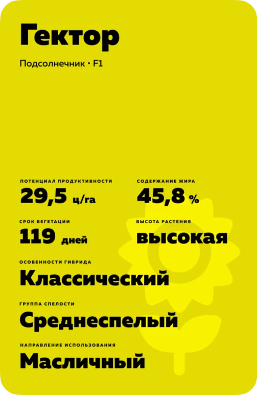 Гектор