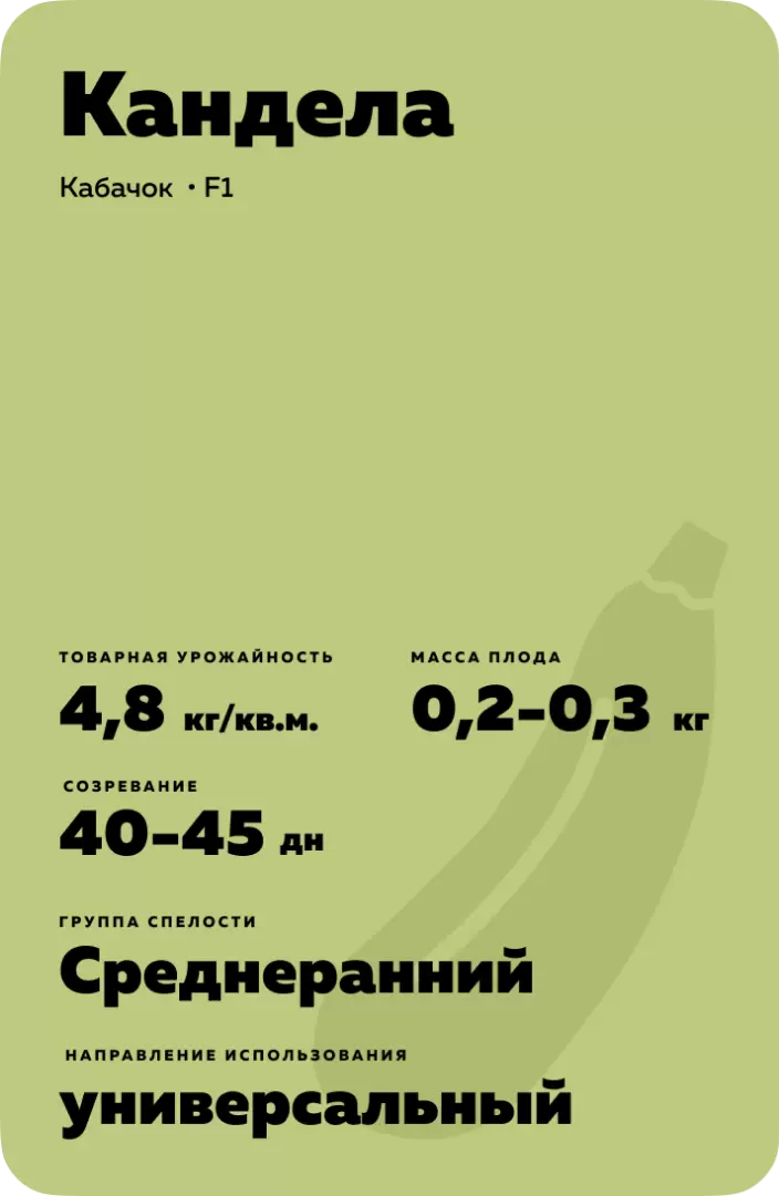 Уход за растением в период роста