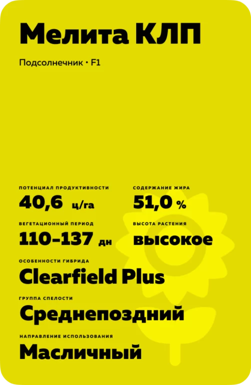 Мелита КЛП (MELITA CLP) гибрид подсолнечника