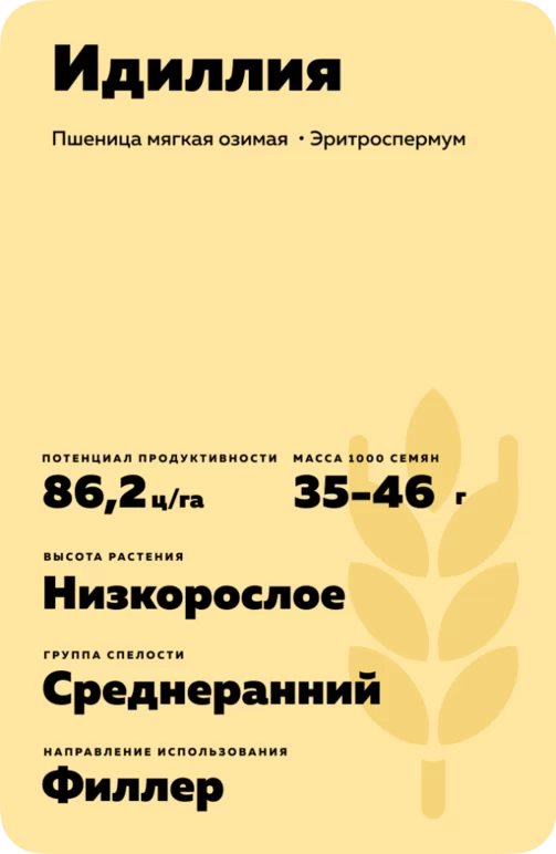 Идиллия сорт мягкой озимой пшеницы