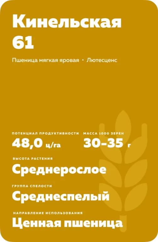 Кинельская 61