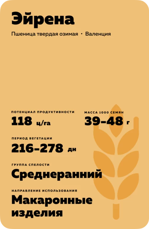Эйрена