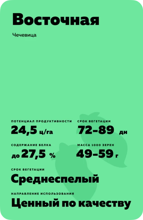 Восточная
