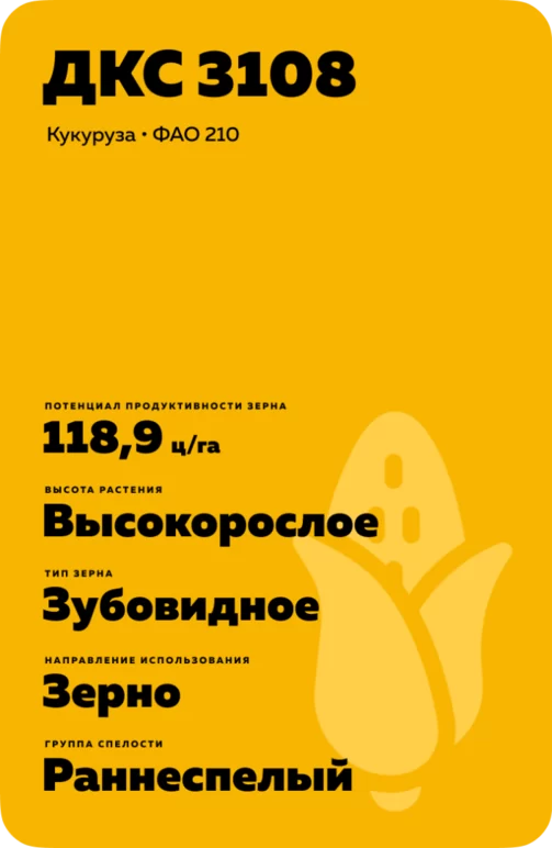 ДКС 3108 гибрид кукурузы