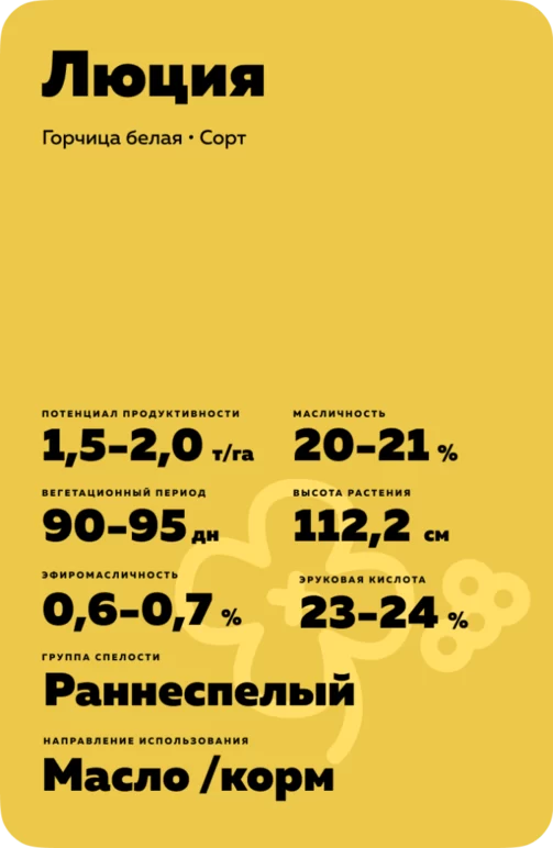 Люция