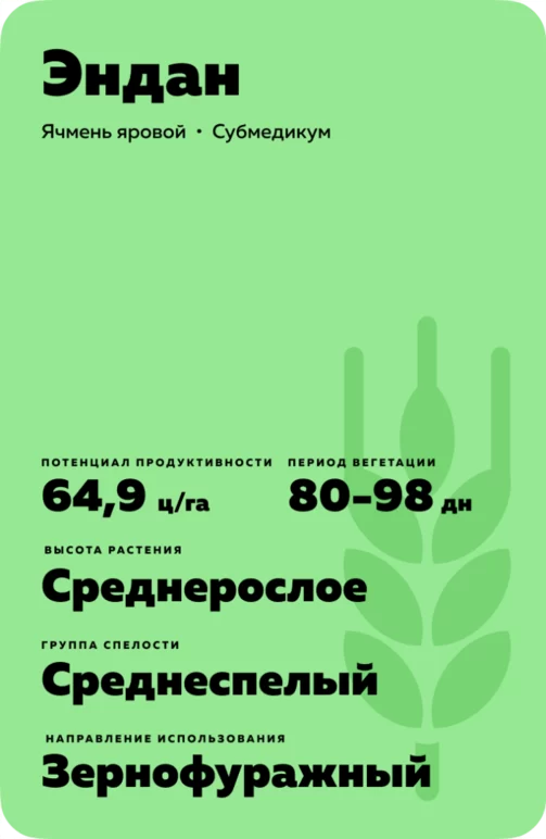Эндан сорт ярового ячменя