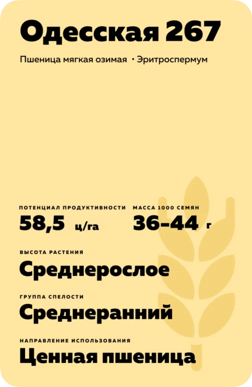 Одесская 267 сорт мягкой озимой пшеницы