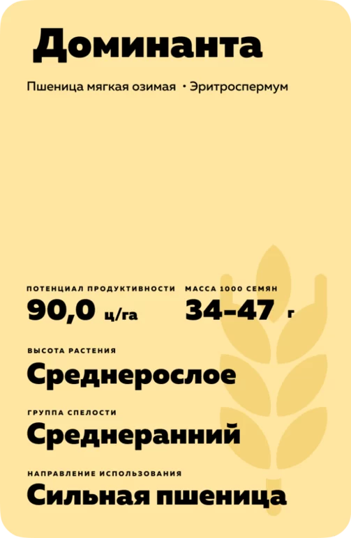 Доминанта пшеница озимая