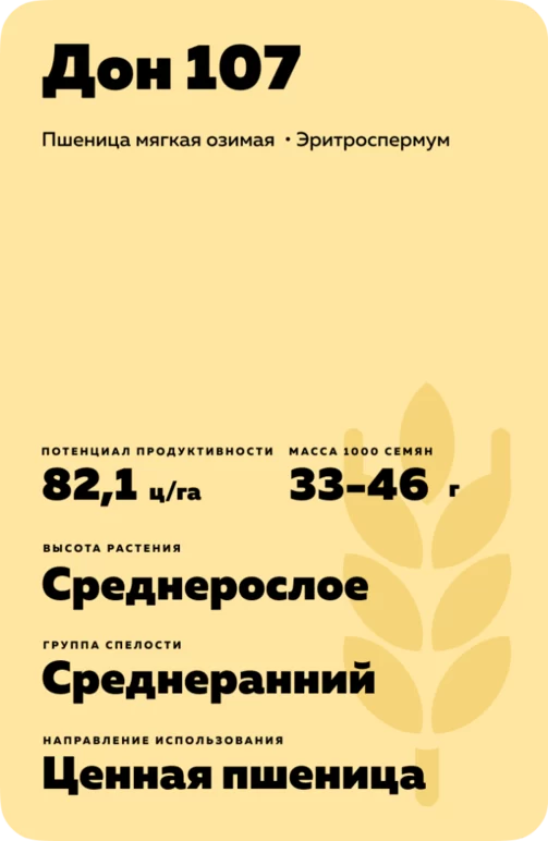 Дон 107 сорт озимой пшеницы