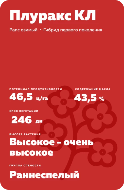 Плуракс КЛ (PLURAX CL) рапс озимый