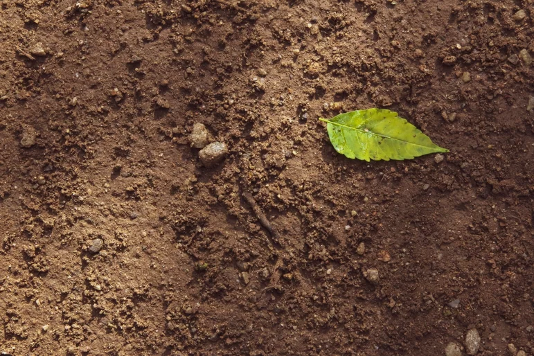 Что важно учесть при почвообработке: 6 полезных советов