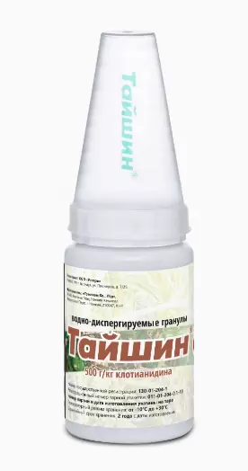 Тайшин, ВДГ