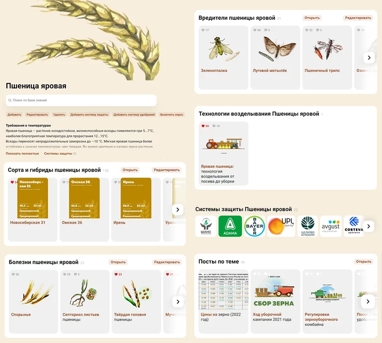 Пшеница яровая: сорта, болезни, вредители, технологии