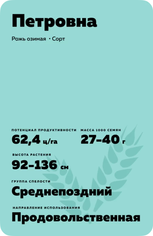 Петровна  рожь озимая