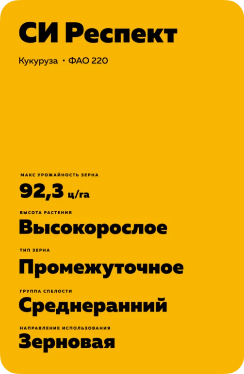 СИ Респект - гибрид кукурузы ( Zea mays L.).