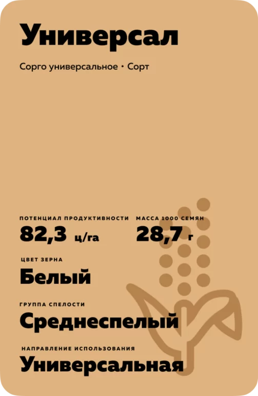 Универсал сорт сорго универсального