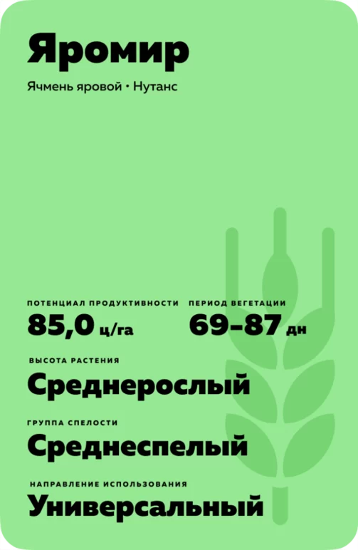 Яромир сорт ячменя ярового