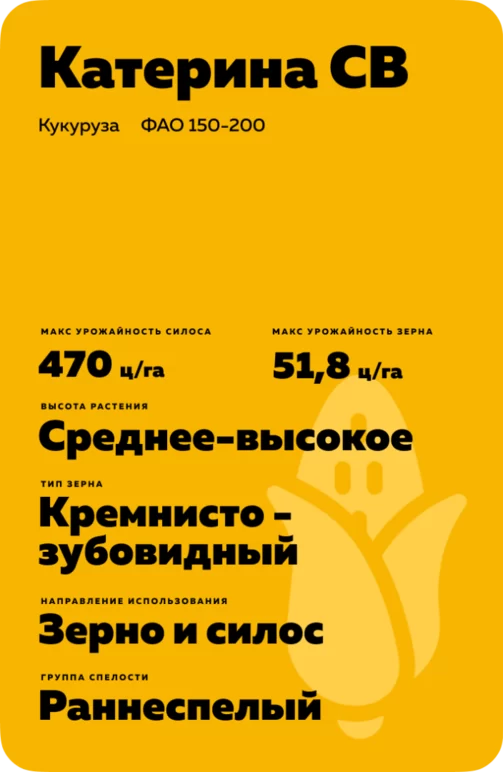 Катерина СВ гибрид кукурузы