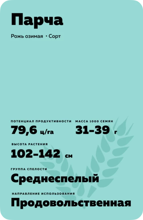 Парча  рожь озимая