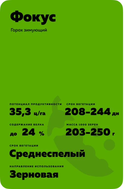 Фокус